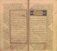 حیوان‌شناسی