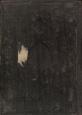 اصول فقه