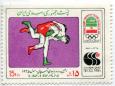 نقش دو کشتی گیر