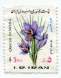 نقش گل زعفران