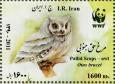تصویر مرغ حق جنوبی