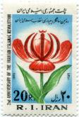 تصویر گل لاله  شکفته و کلمه الله بر روی آن