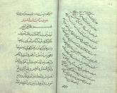 اسبها- پرورش