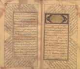 حیوانها/ شکار