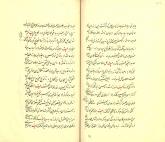 شعر فارسی/ تشبیه