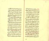 پرندگان -- پرورش- بازها- پرورش