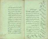 مغناطیس حیوانی