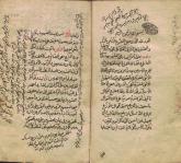 روزه