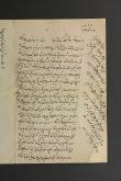 250 اصله تیر