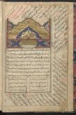 وحی