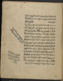 معاد