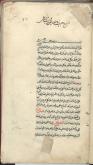 دولتی (اسلام)