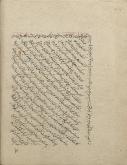 حیوان‌ وانسان شناسی