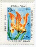 تصویر زنبق نارنجی