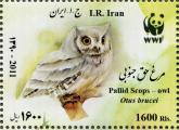 تصویر مرغ حق جنوبی