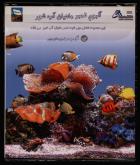ماهیان آب شور
