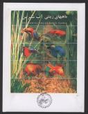 ماهیهای زینتی آب شیرین-طلایی چشم حبابی-طلایی دم چادری-ماهی جنگجو-گوپی-طلایی دم پروانه‌ای-طلایی مرواریدی (نوروز 1383)